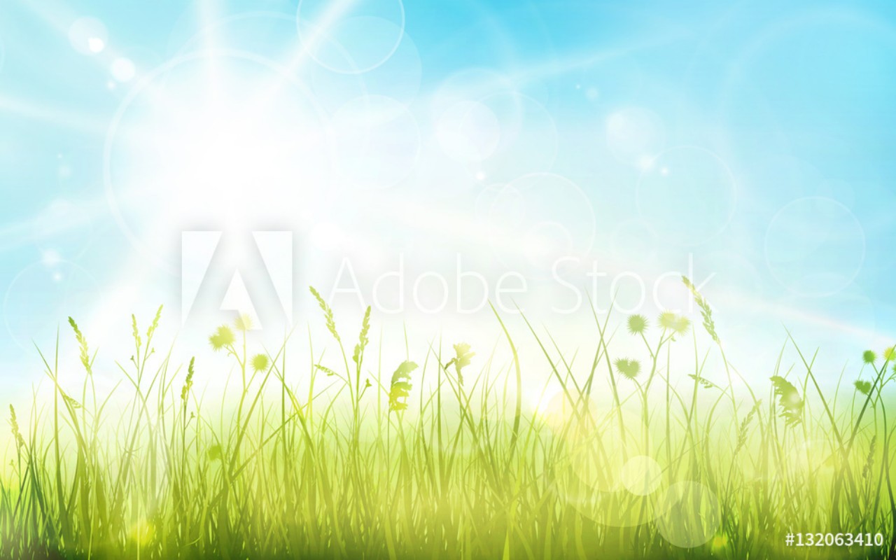 Picture of Green grass blue sky spring blurred bokeh background